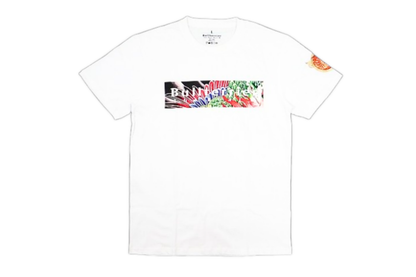 BULL TERRIER T SHIRT BANDA CON FENICE HOUOU