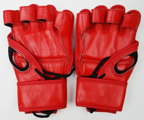 BULLTERRIER Accessories – MMA Gloves MOMOGRAM